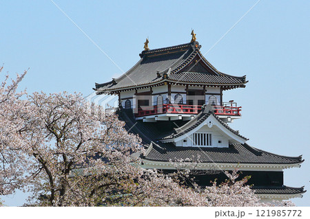 満開の桜と清洲城 121985772