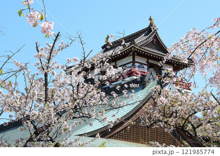 満開の桜と清洲城 満開の桜と清洲城 121985774