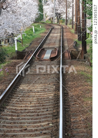 桜並木と線路 121985817