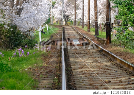 桜並木と線路 121985818