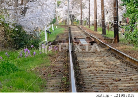 桜並木と線路 桜並木と線路 121985819