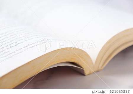 英語のペーパーバックのページを開いて、のんびり読書を楽しんでいるイメージ 121985857