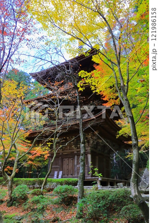 秋の金剛輪寺（三重塔・滋賀県愛荘町・縦構図） 121986158