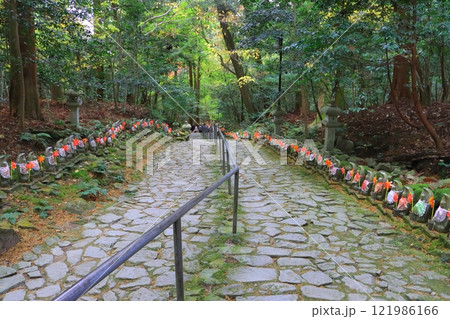 秋の金剛輪寺（参道・滋賀県愛荘町） 121986166