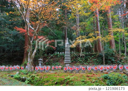 秋の金剛輪寺(千体地蔵・滋賀県愛荘町) 秋の金剛輪寺(千体地蔵・滋賀県愛荘町) 121986173