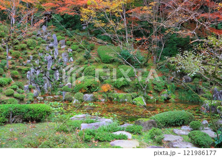 秋の金剛輪寺(明寿院庭園・滋賀県愛荘町) 秋の金剛輪寺(明寿院庭園・滋賀県愛荘町) 121986177