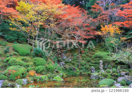 秋の金剛輪寺（明寿院庭園・滋賀県愛荘町） 121986180