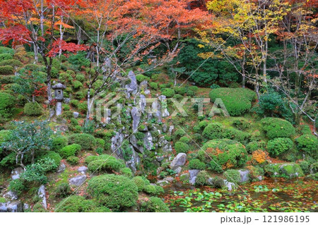 秋の金剛輪寺(明寿院庭園・滋賀県愛荘町) 秋の金剛輪寺(明寿院庭園・滋賀県愛荘町) 121986195