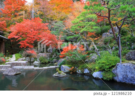 秋の百済寺(本坊ー喜見院庭園・東近江市) 秋の百済寺(本坊ー喜見院庭園・東近江市) 121986210