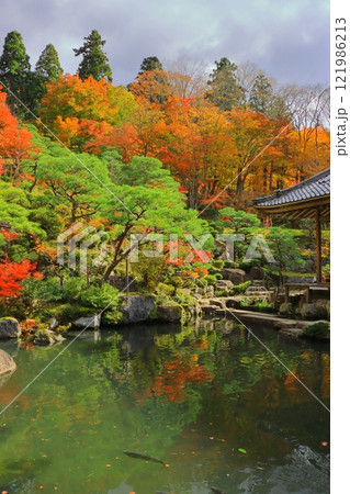 秋の百済寺(本坊ー喜見院庭園・東近江市) 秋の百済寺(本坊ー喜見院庭園・東近江市) 121986213