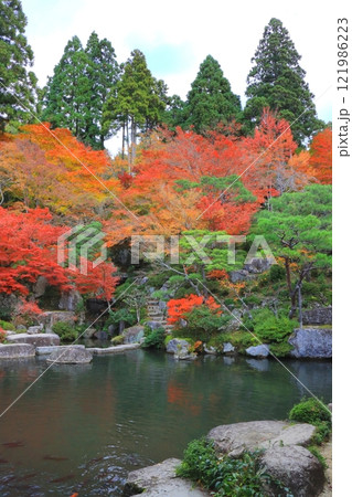 秋の百済寺(本坊ー喜見院庭園・東近江市・縦構図) 秋の百済寺(本坊ー喜見院庭園・東近江市・縦構図) 121986223
