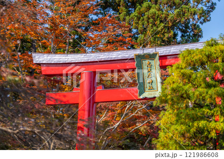 志波彦神社 鳥居 紅葉 秋 志波彦神社 鳥居 紅葉 秋 121986608