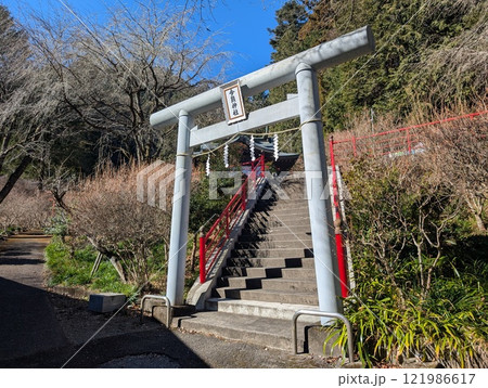 今熊神社の鳥居 今熊神社の鳥居 121986617