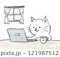 パソコンをしている猫 121987512
