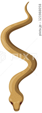 Top View of a Serpent Illustration 121988058