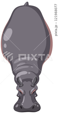 Top View of a Hippopotamus 121988077