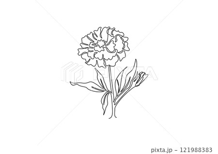 Single continuous line drawing beauty fresh marigold for home wall decor poster art. Printable decorative calendula flower concept park icon. Dynamic one line draw graphic design vector illustration 121988383
