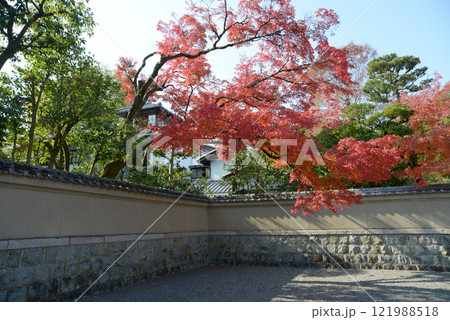 旧三井家下鴨別邸　境内の紅葉　京都市左京区 121988518