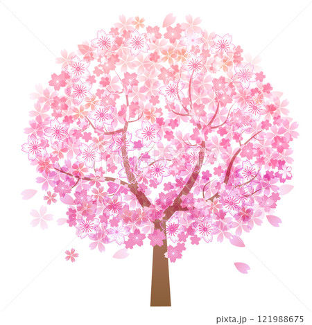 桜 春 花 アイコン 桜 春 花 アイコン 121988675