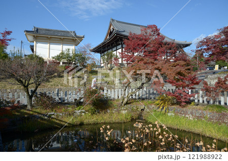金戒光明寺　蓮池と阿弥陀堂　京都市左京区黒谷 121988922