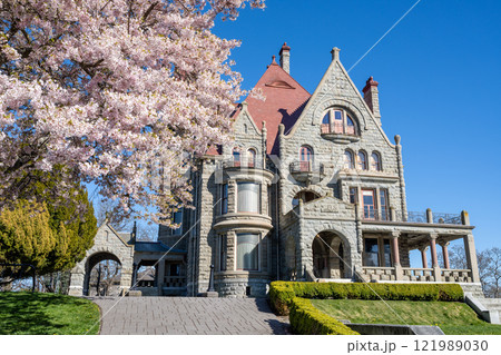 Craigdarroch Castle exterior with full bloom cherry blossom during springtime season. Victoria, BC, Canada. Craigdarroch Castle exterior with full bloom cherry blossom during springtime season. Victoria, BC, Canada. 121989030