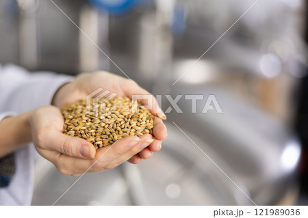 Heap of malt seeds in hands of brewer Heap of malt seeds in hands of brewer 121989036