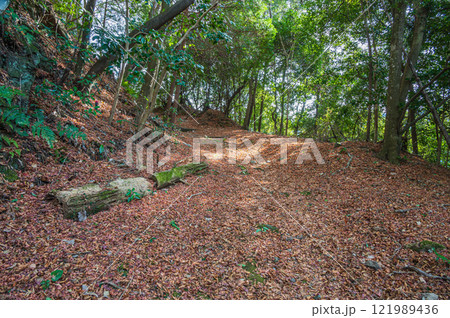 笠置山樹林風景　落ち葉散る登山道　京都府笠置町 121989436