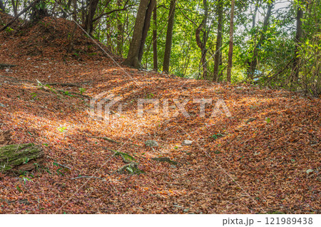笠置山樹林風景 落ち葉散る登山道 京都府笠置町 笠置山樹林風景 落ち葉散る登山道 京都府笠置町 121989438