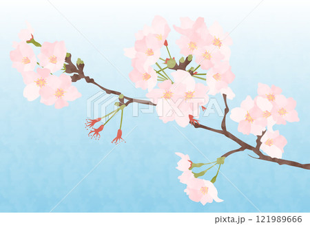 桜と青空のベクターイラスト 桜と青空のベクターイラスト 121989666