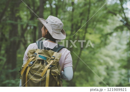 夏山を歩く 121989921