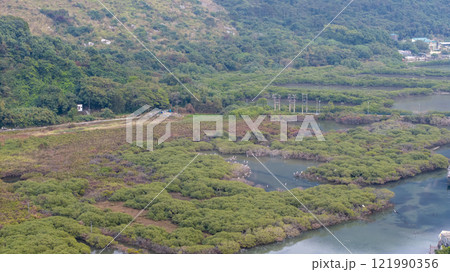 View of Scenic Wetlands and Greenery in a Natural Reserve Tai O Dec 31 2024 View of Scenic Wetlands and Greenery in a Natural Reserve Tai O Dec 31 2024 121990356