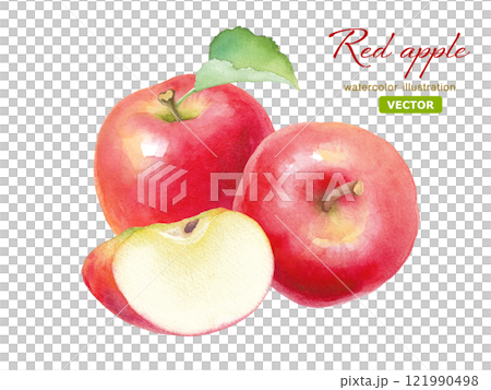Watercolor illustration of fresh red apples. Combination of whole and cut apples (vector) 121990498