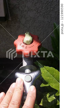 不凍栓の凹部にばっちりハマるカエル（後ろからそっと近づく） 121990590