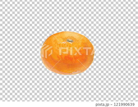 水彩絵の具で描いたみかん 水彩絵の具で描いたみかん 121990639