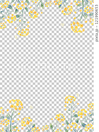 油菜花和蝴蝶框架垂直水彩觸摸 121990653