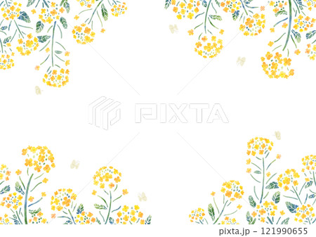 菜の花と蝶のフレーム　横長　水彩タッチ 121990655