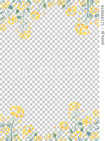 油菜花框垂直水彩觸摸 121990656