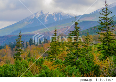 晩秋十勝岳望岳台からの眺め 121991407
