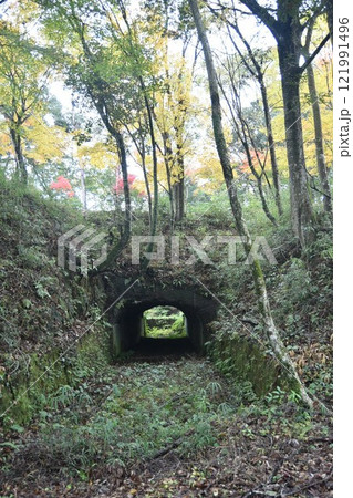 紅葉の曽木の滝 紅葉の曽木の滝 121991496