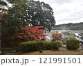紅葉の曽木の滝 121991501