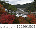 紅葉の曽木の滝 121991505