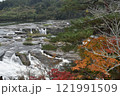 紅葉の曽木の滝 121991509