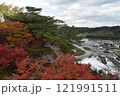 紅葉の曽木の滝 121991511