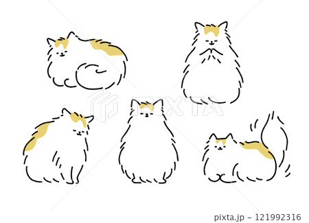 長毛猫のセット 長毛猫のセット 121992316