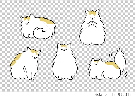 長毛貓套裝 121992316