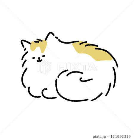 寝る長毛の猫 寝る長毛の猫 121992319