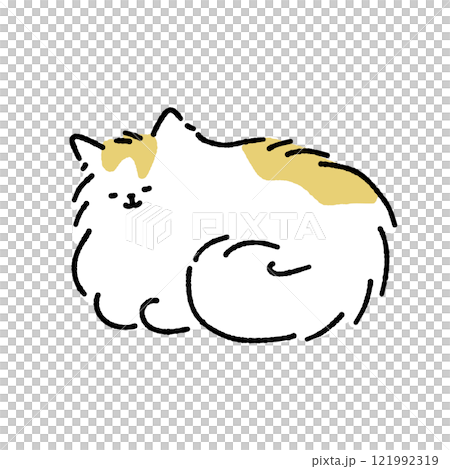 寝る長毛の猫 寝る長毛の猫 121992319