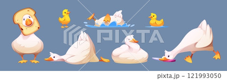 Cute goose or duck character set Cute goose or duck character set 121993050