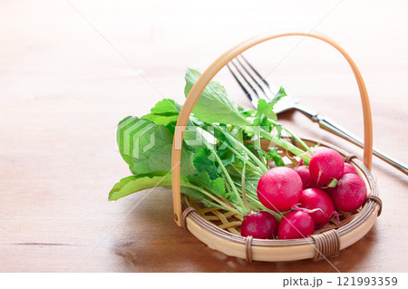 新鮮なラディッシュ （ 二十日大根 ） 121993359