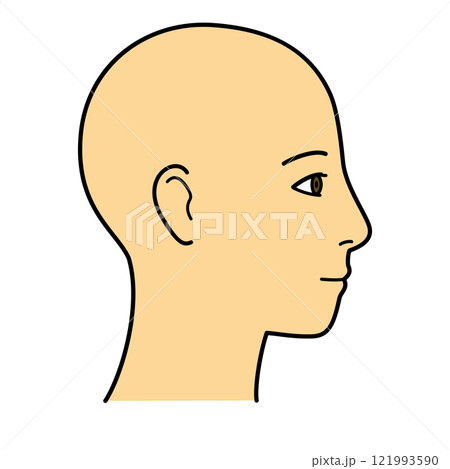 顔 横顔 右向き カラー 顔 横顔 右向き カラー 121993590